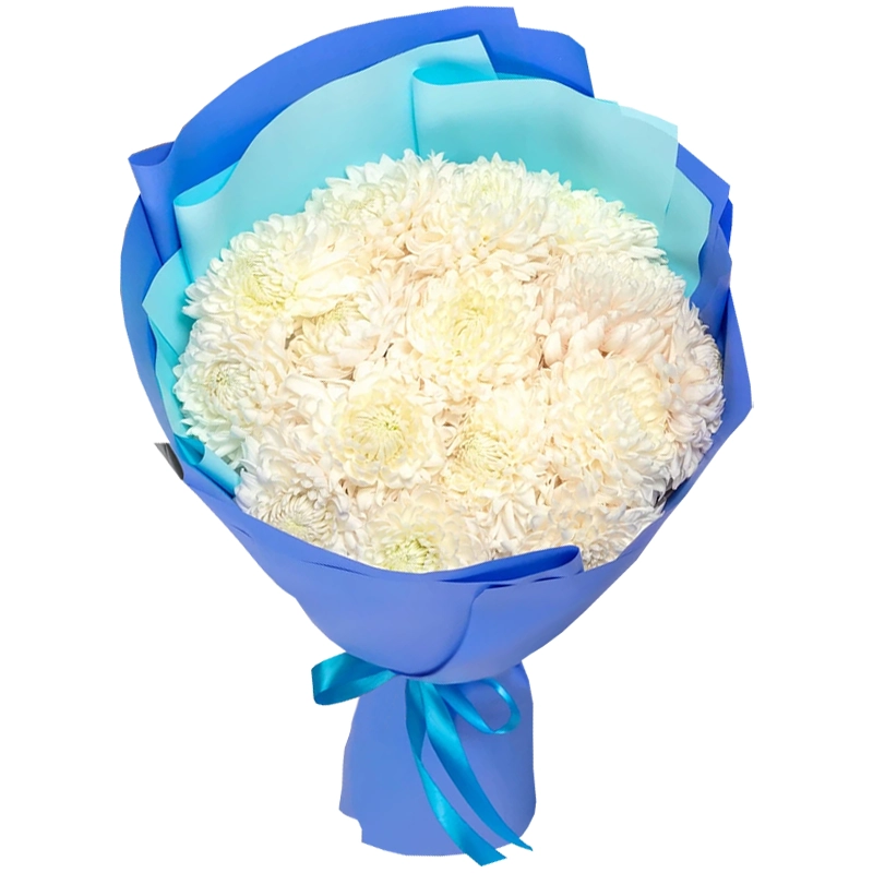 Букет из 15 белых одноголовых хризантем